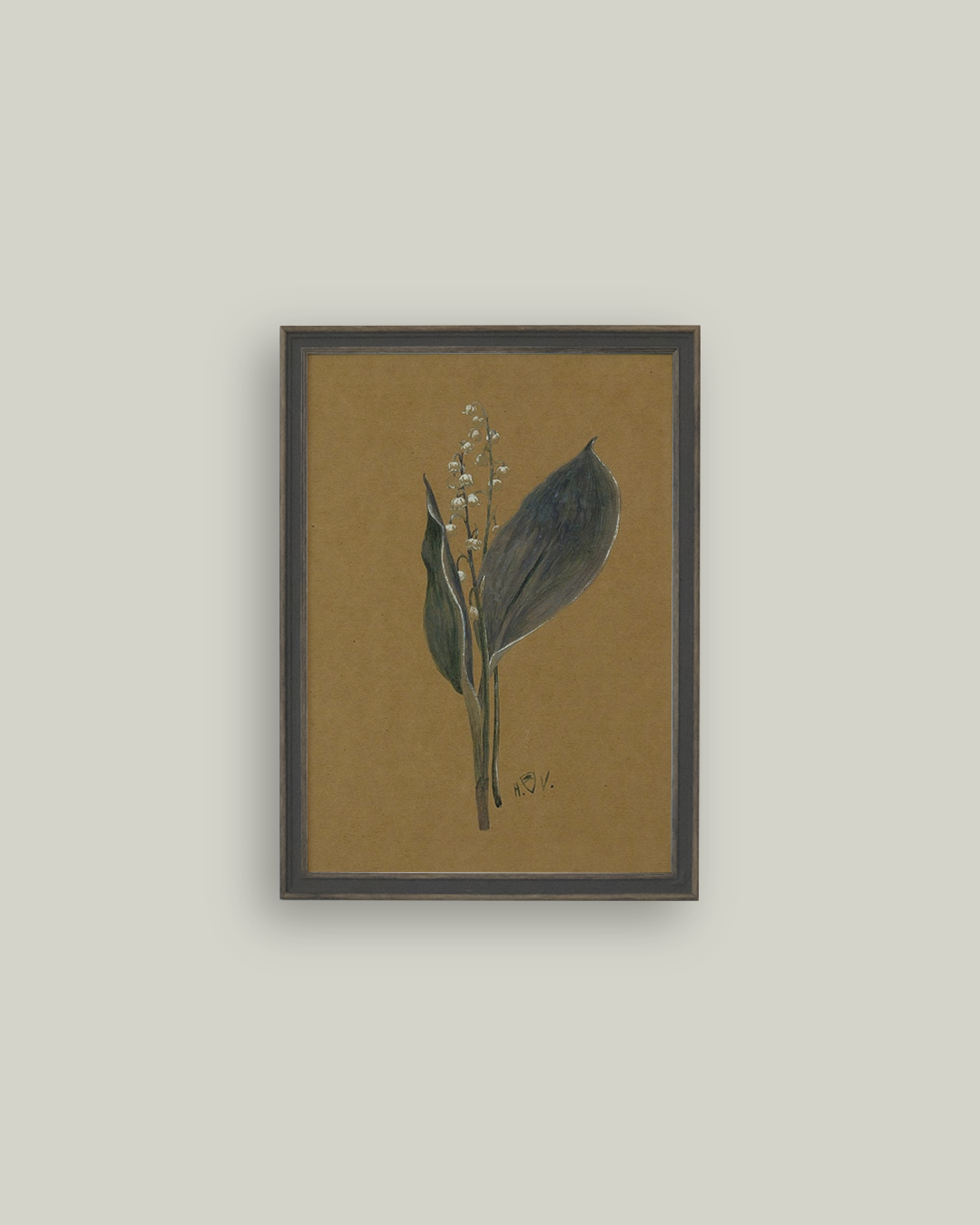 Lily on Brown