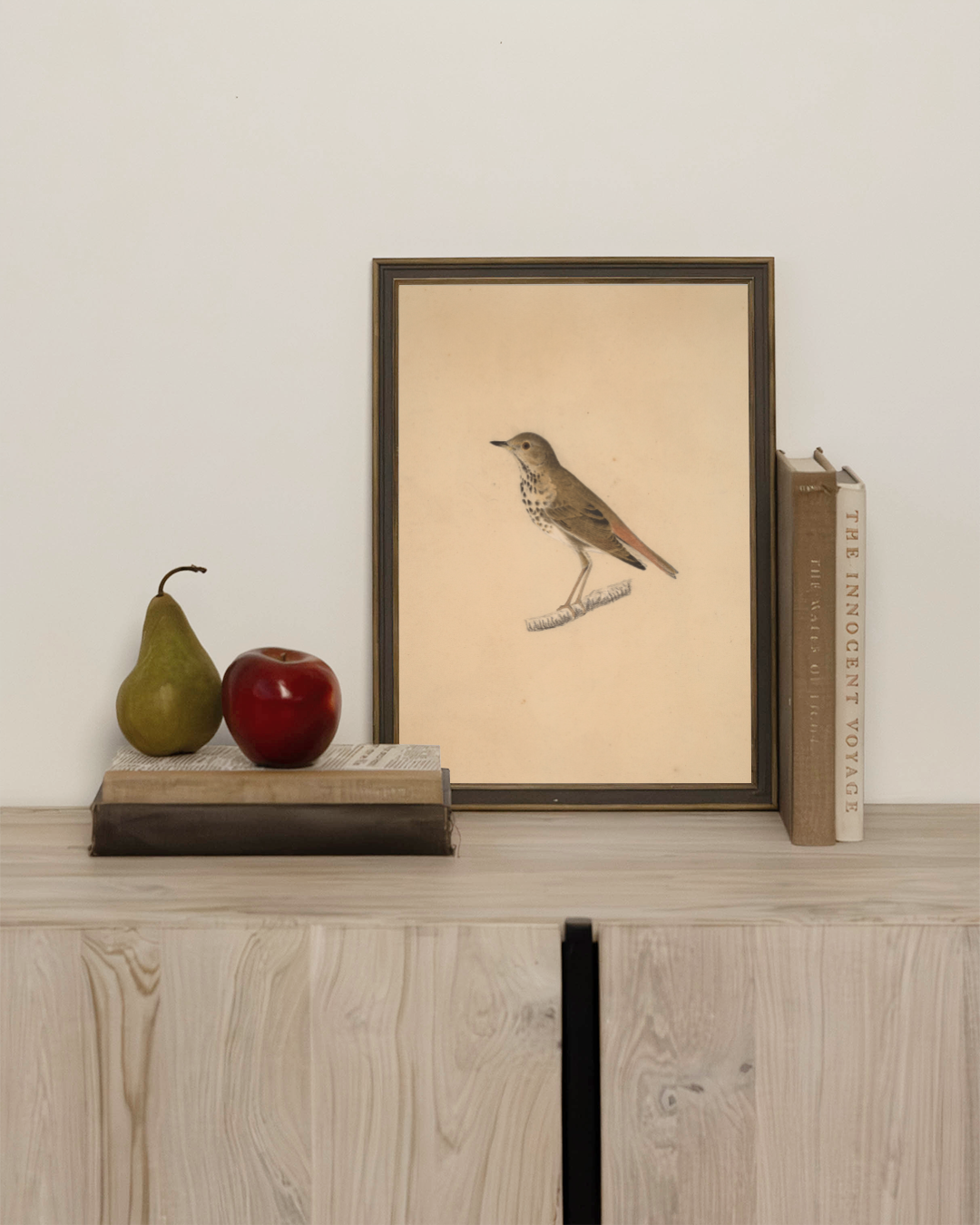 Bird