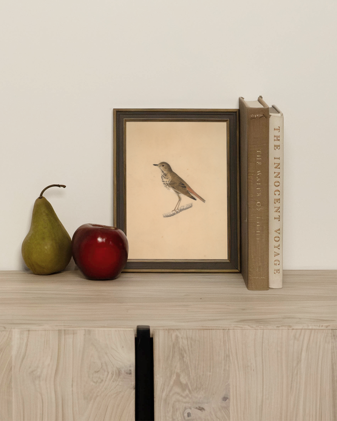 Bird