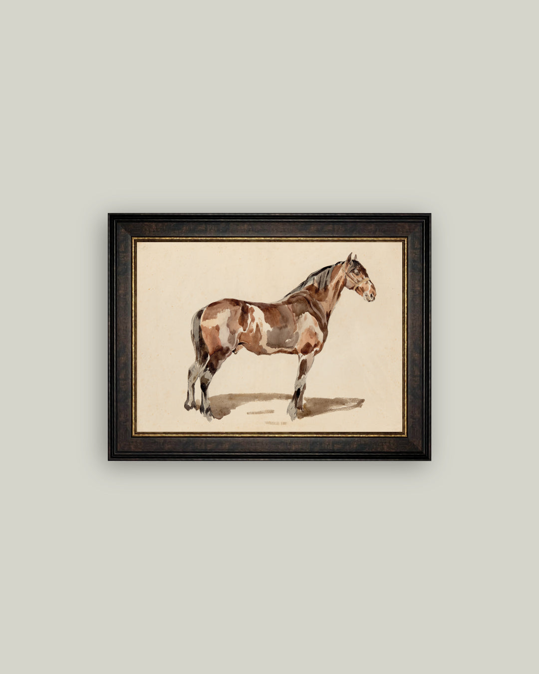 A Bay Horse