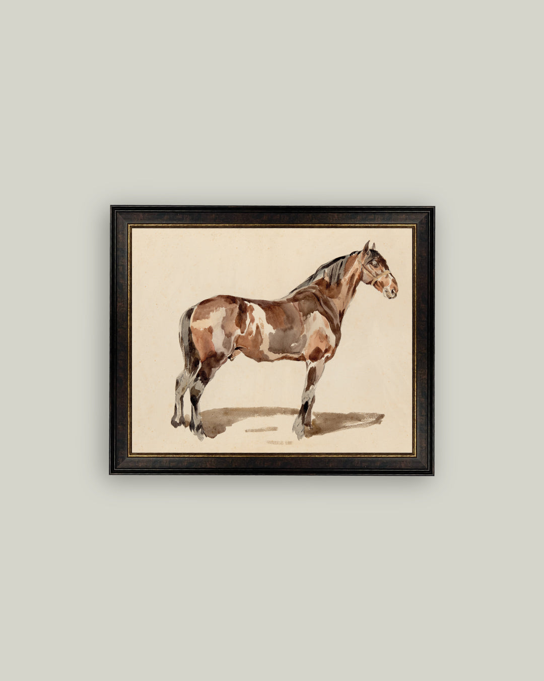A Bay Horse