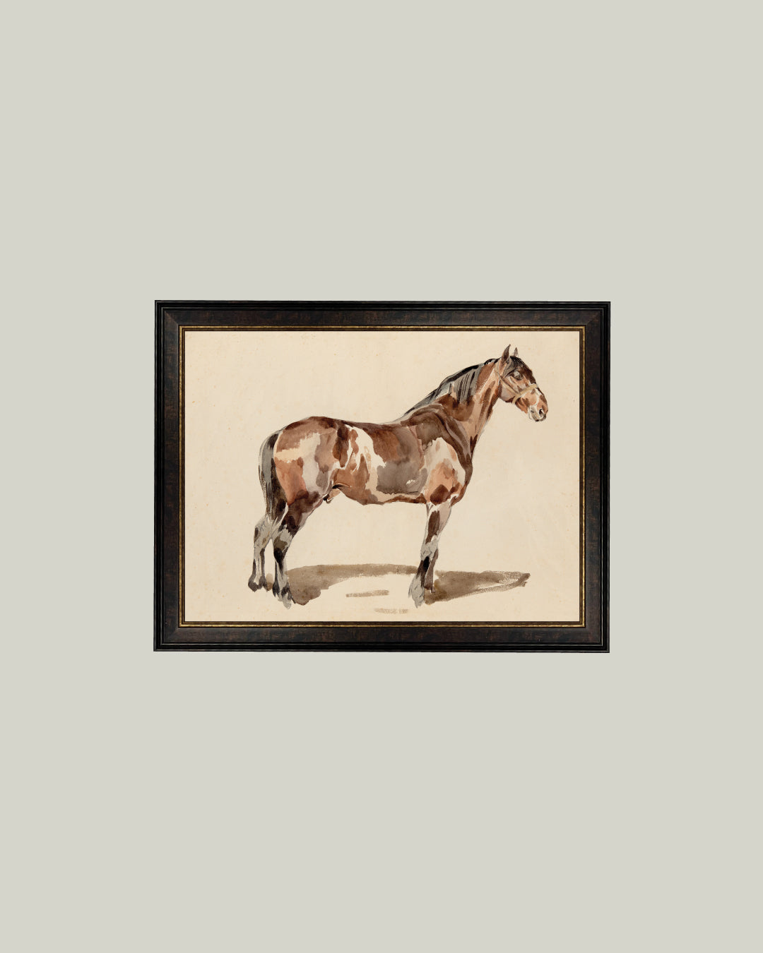 A Bay Horse