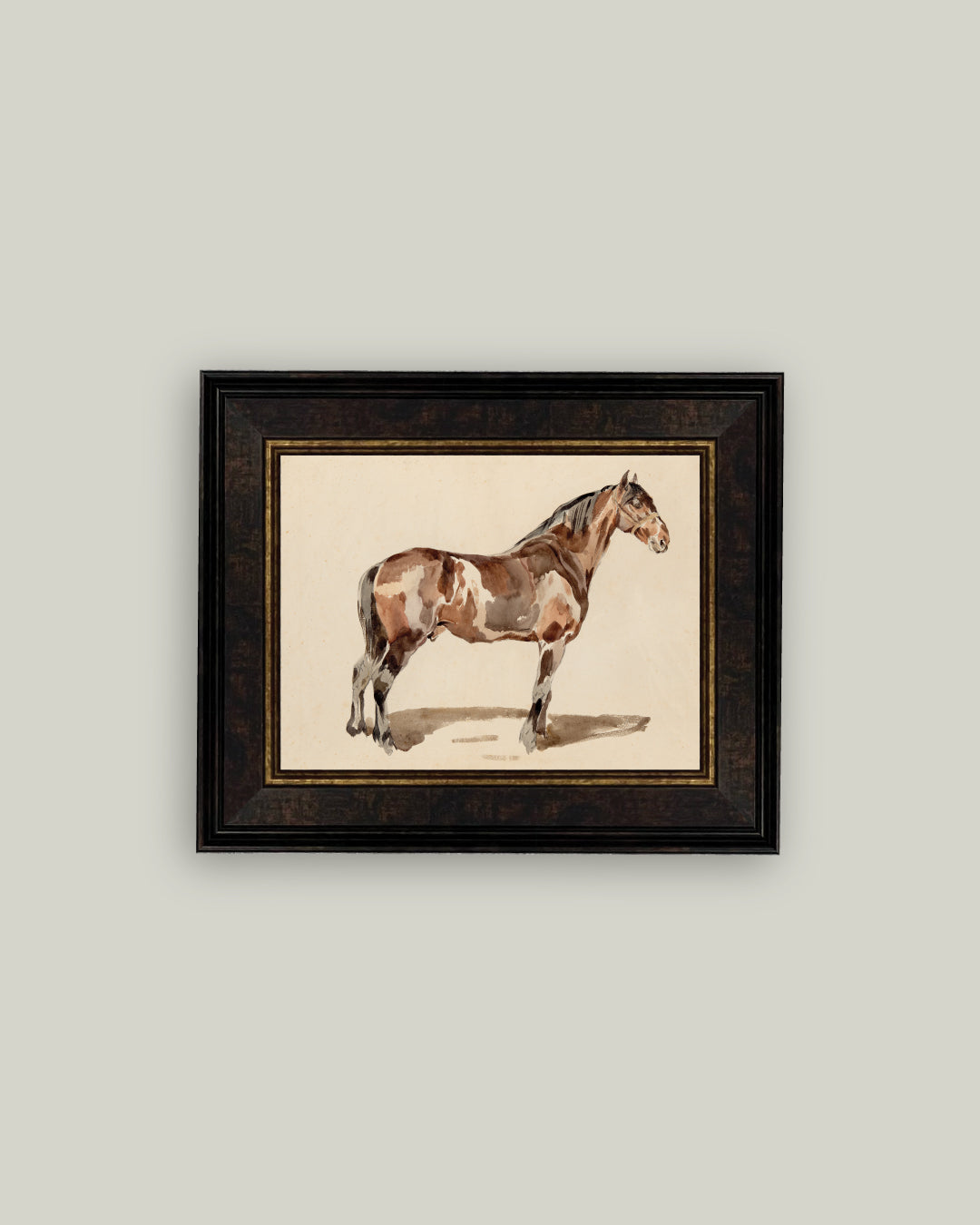 A Bay Horse
