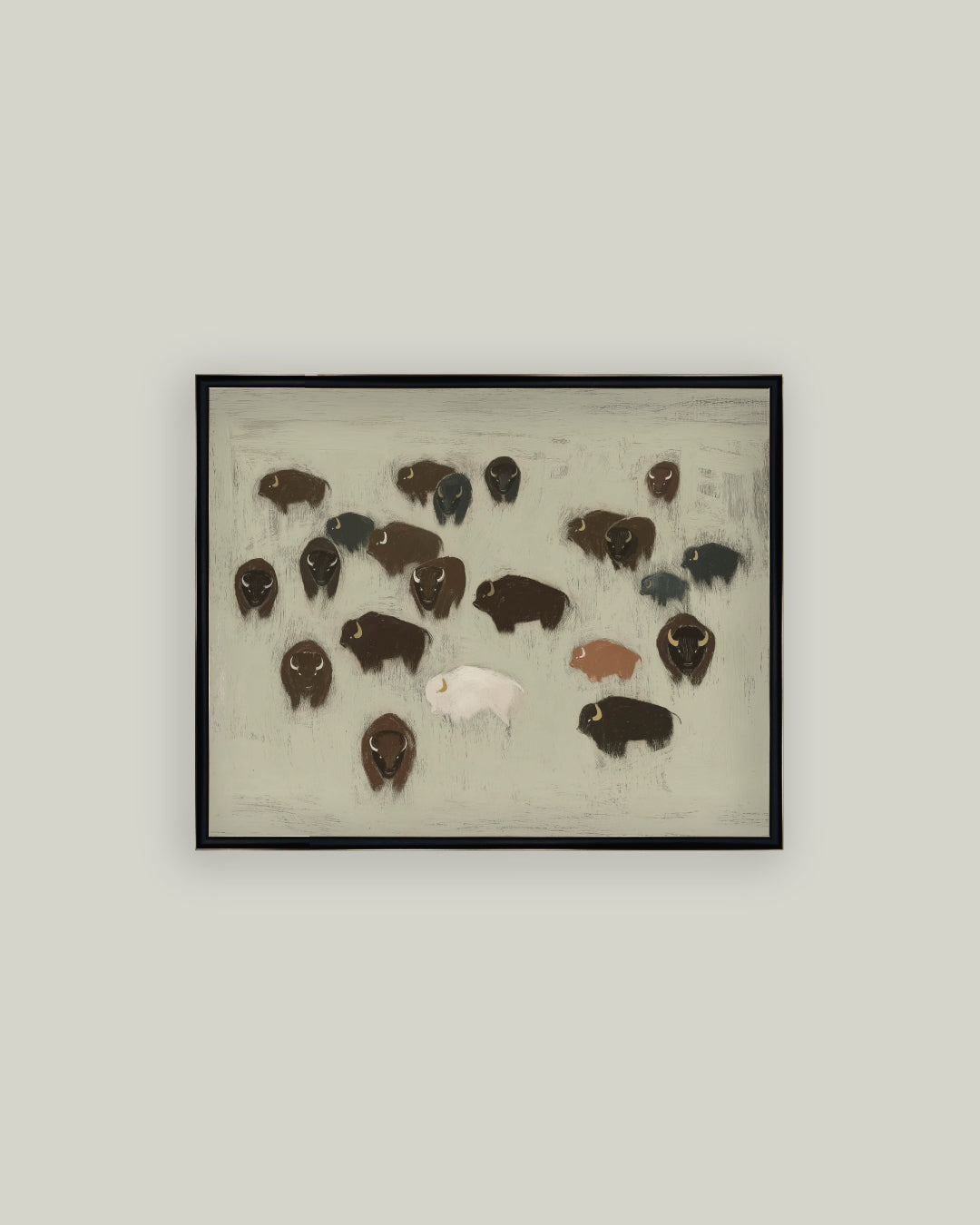 Bison Herd