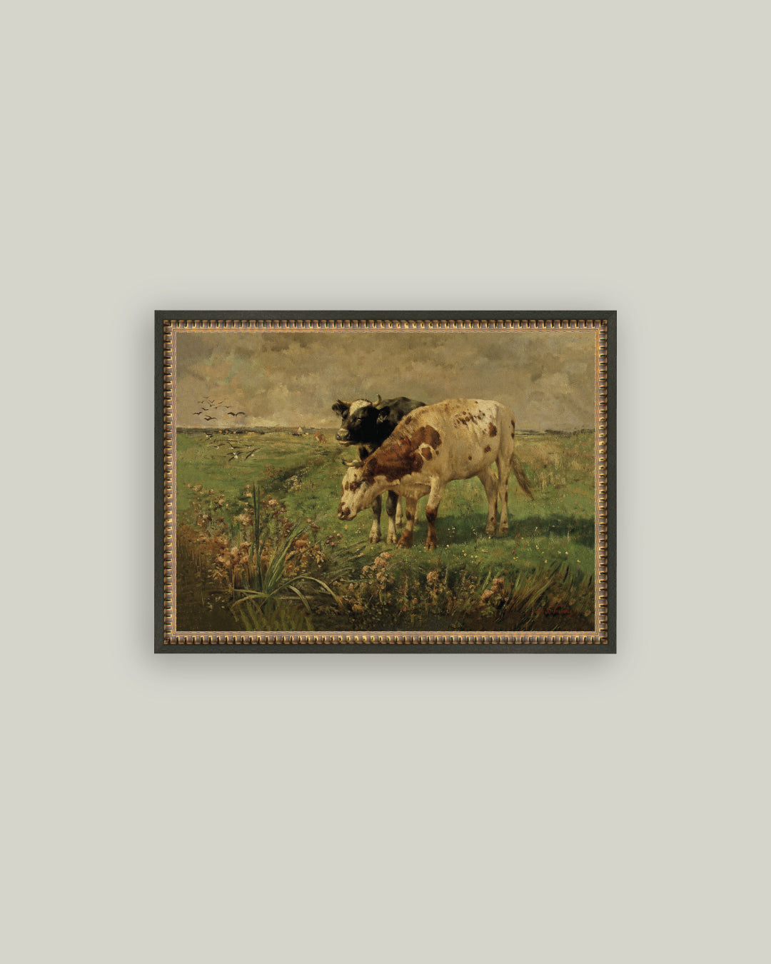Black and Brown Cows