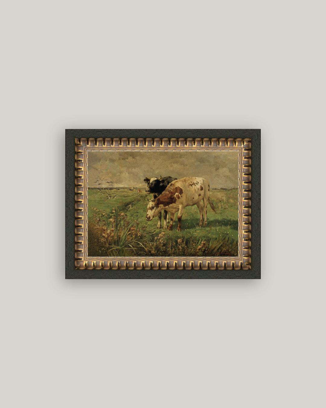 Black and Brown Cows