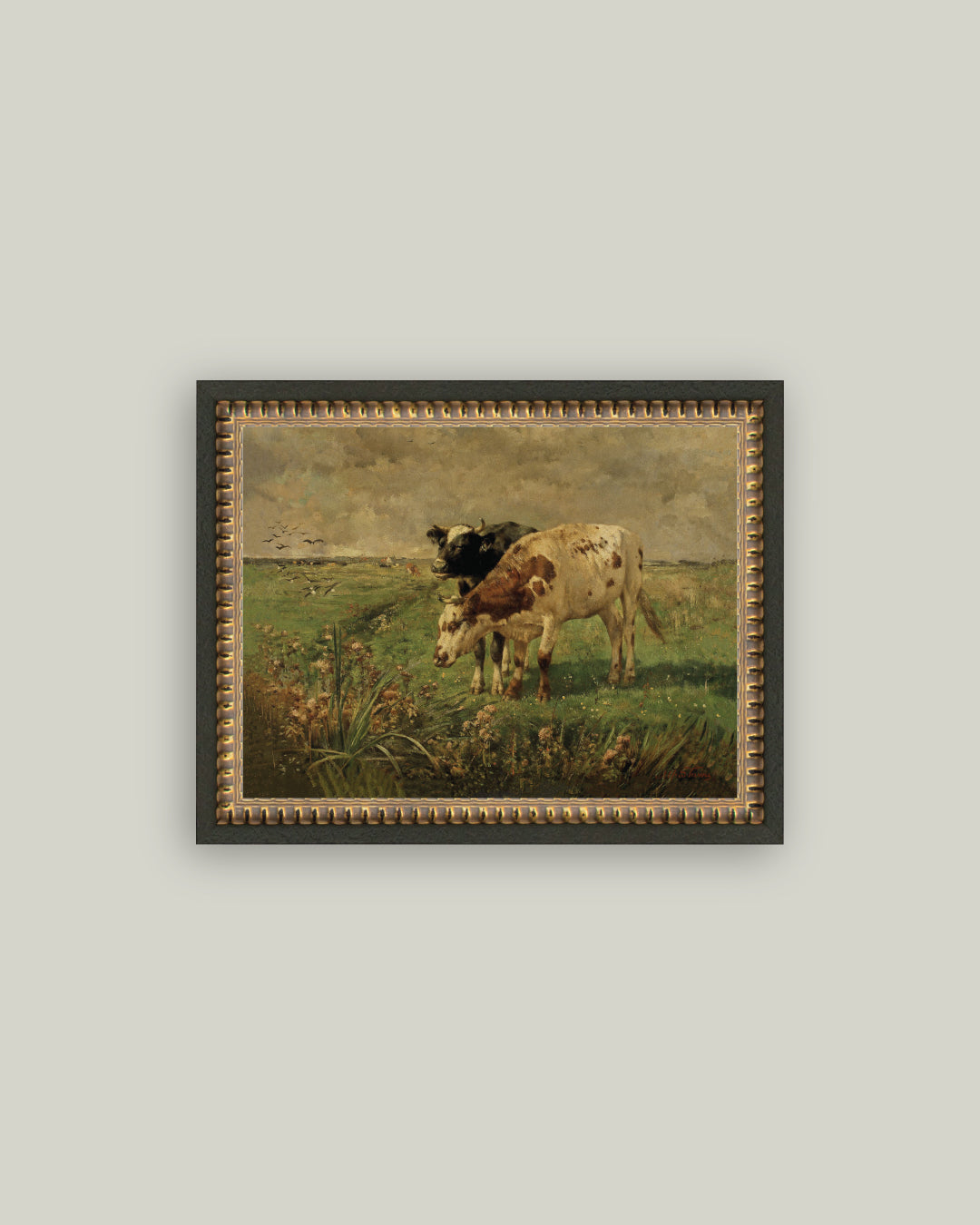 Black and Brown Cows