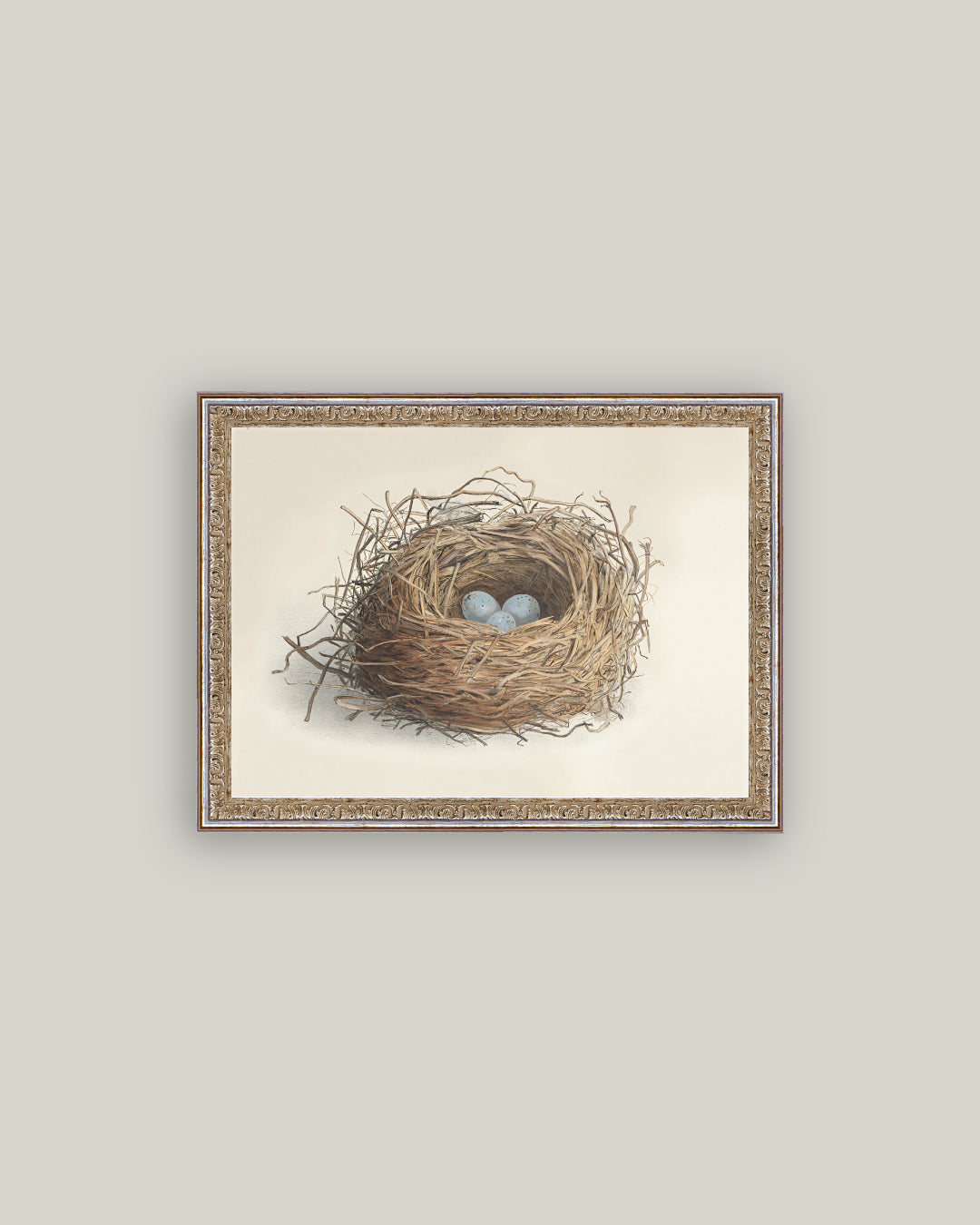 Blue Eggs in a Nest