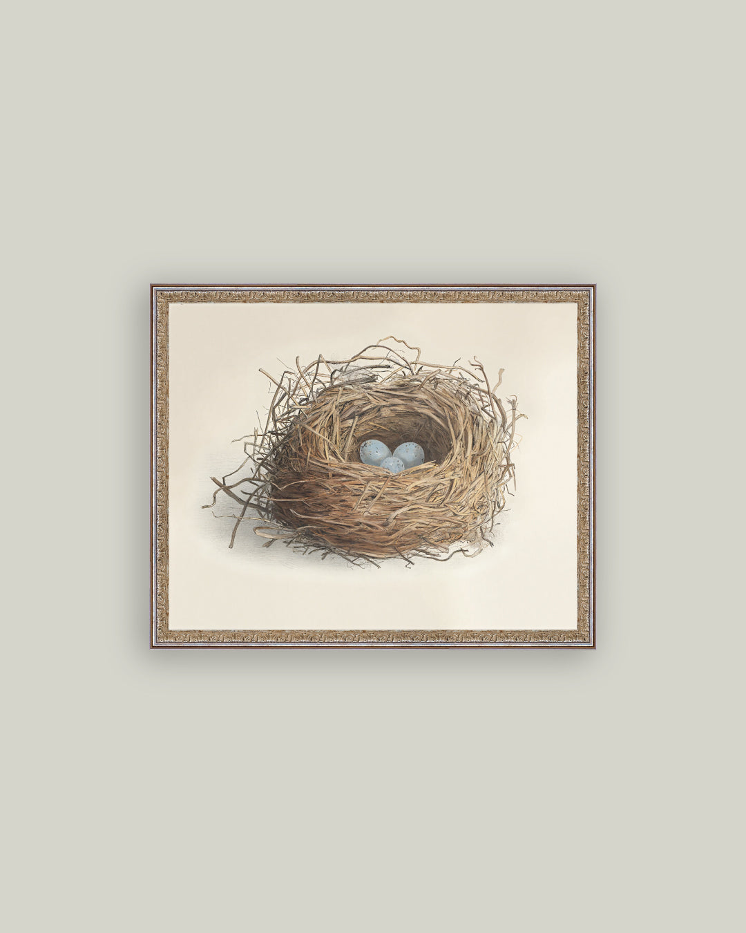 Blue Eggs in a Nest