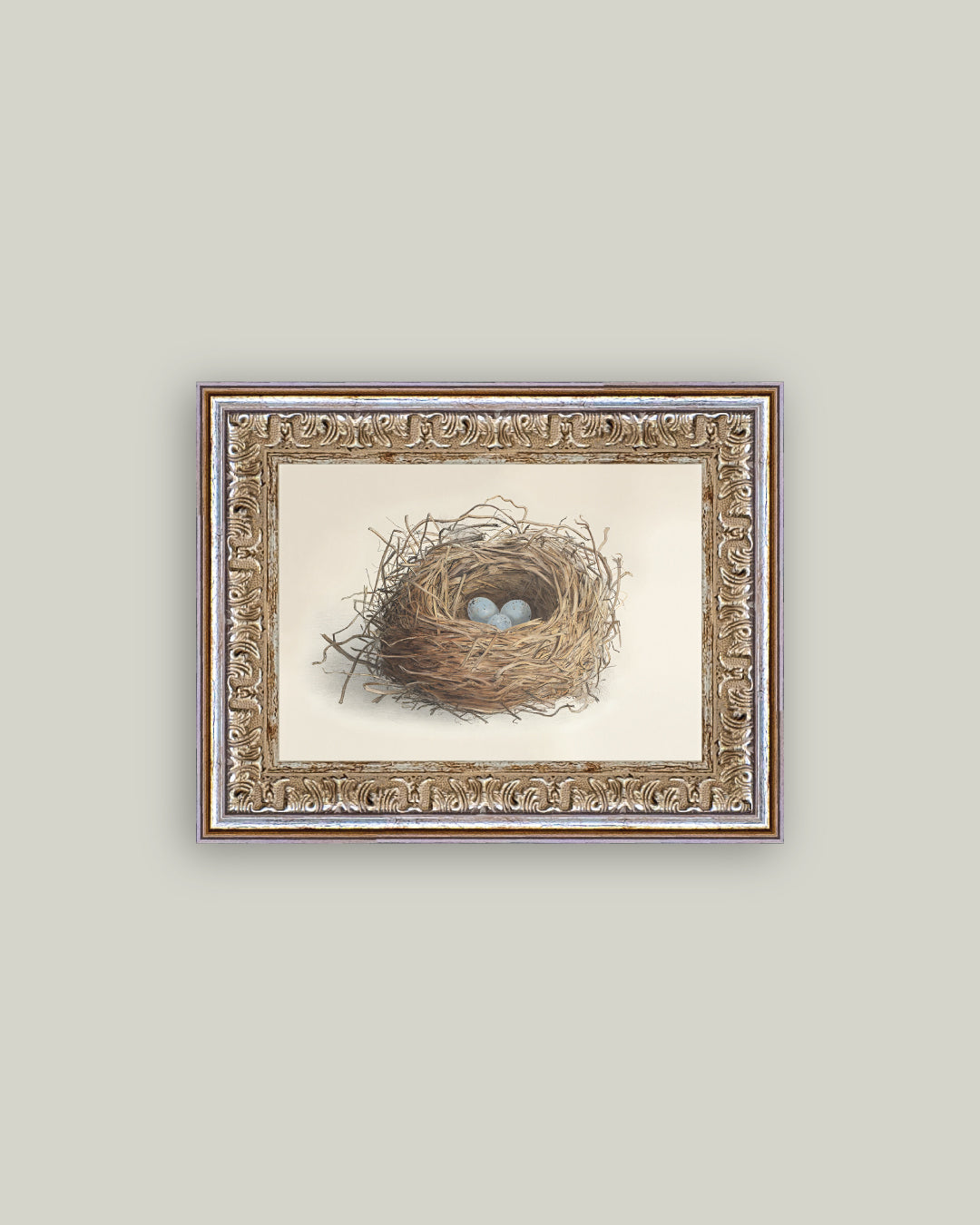 Blue Eggs in a Nest