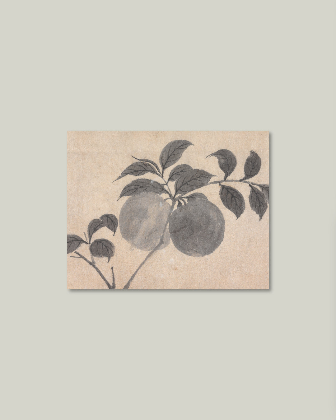 Branch of Fruit Bearing Tree Artist Board