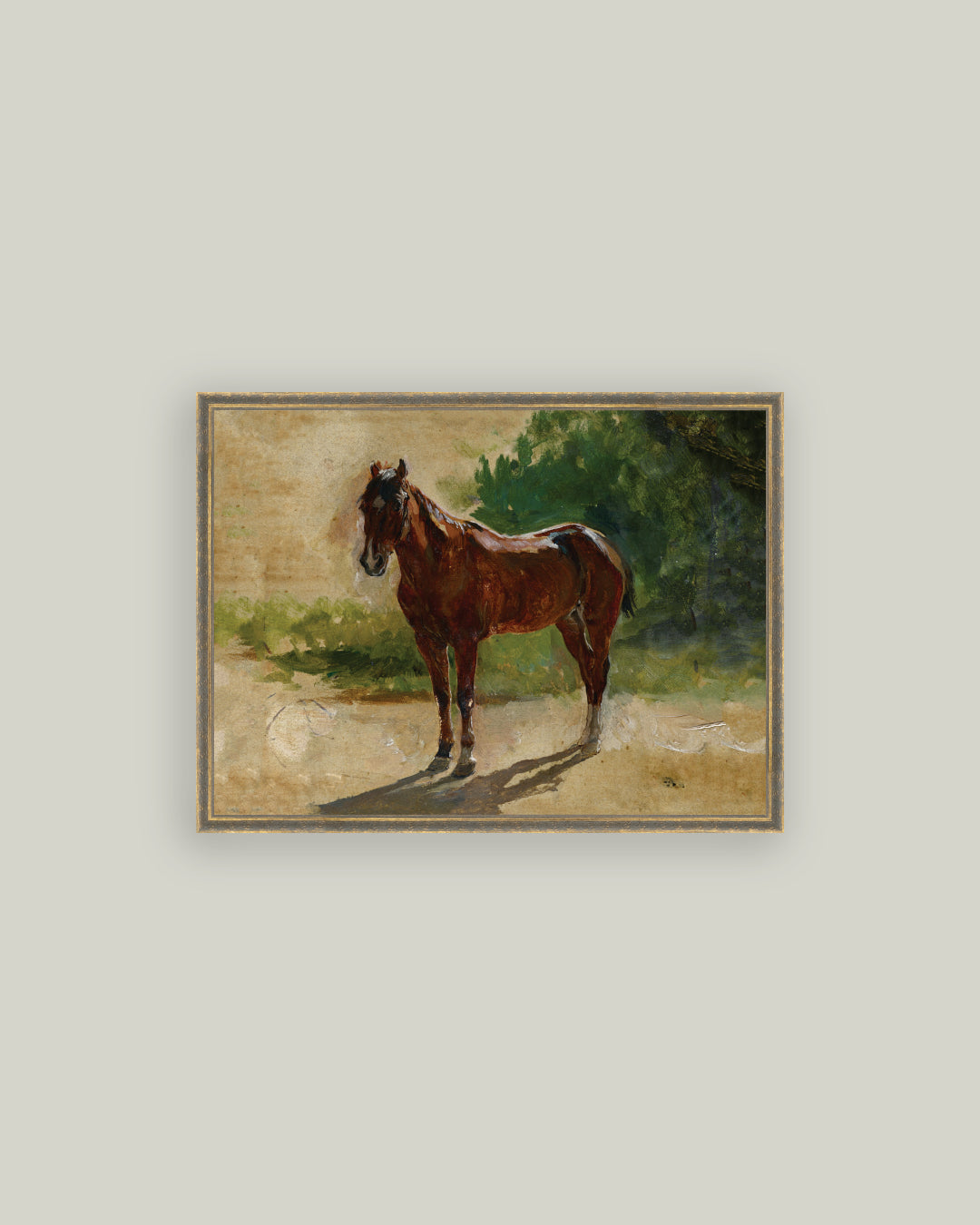 Brown Horse Study