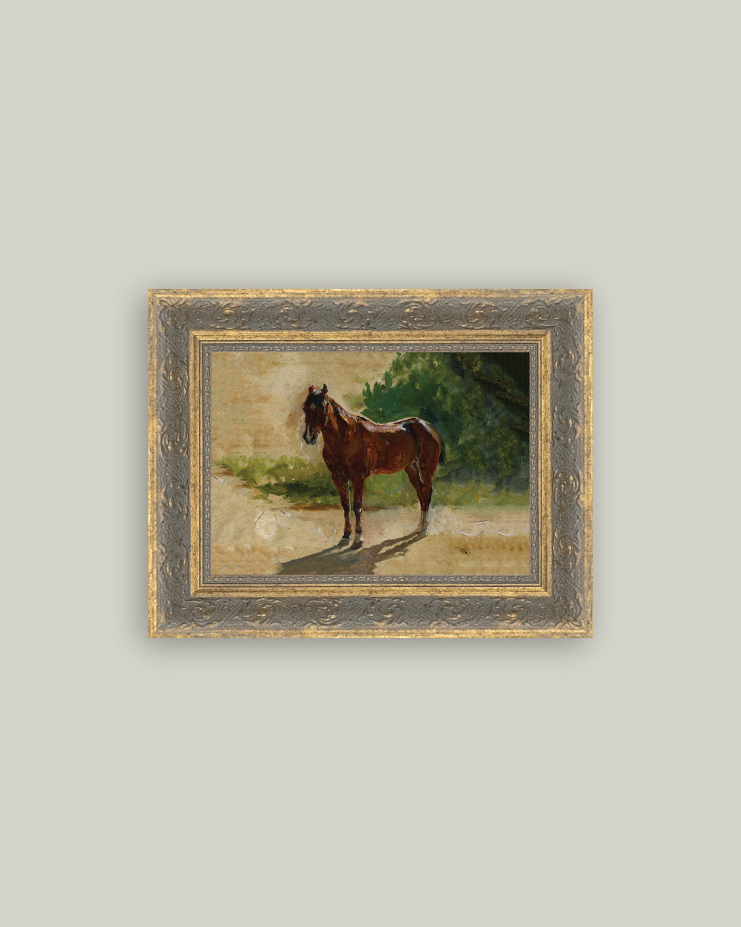 Brown Horse Study