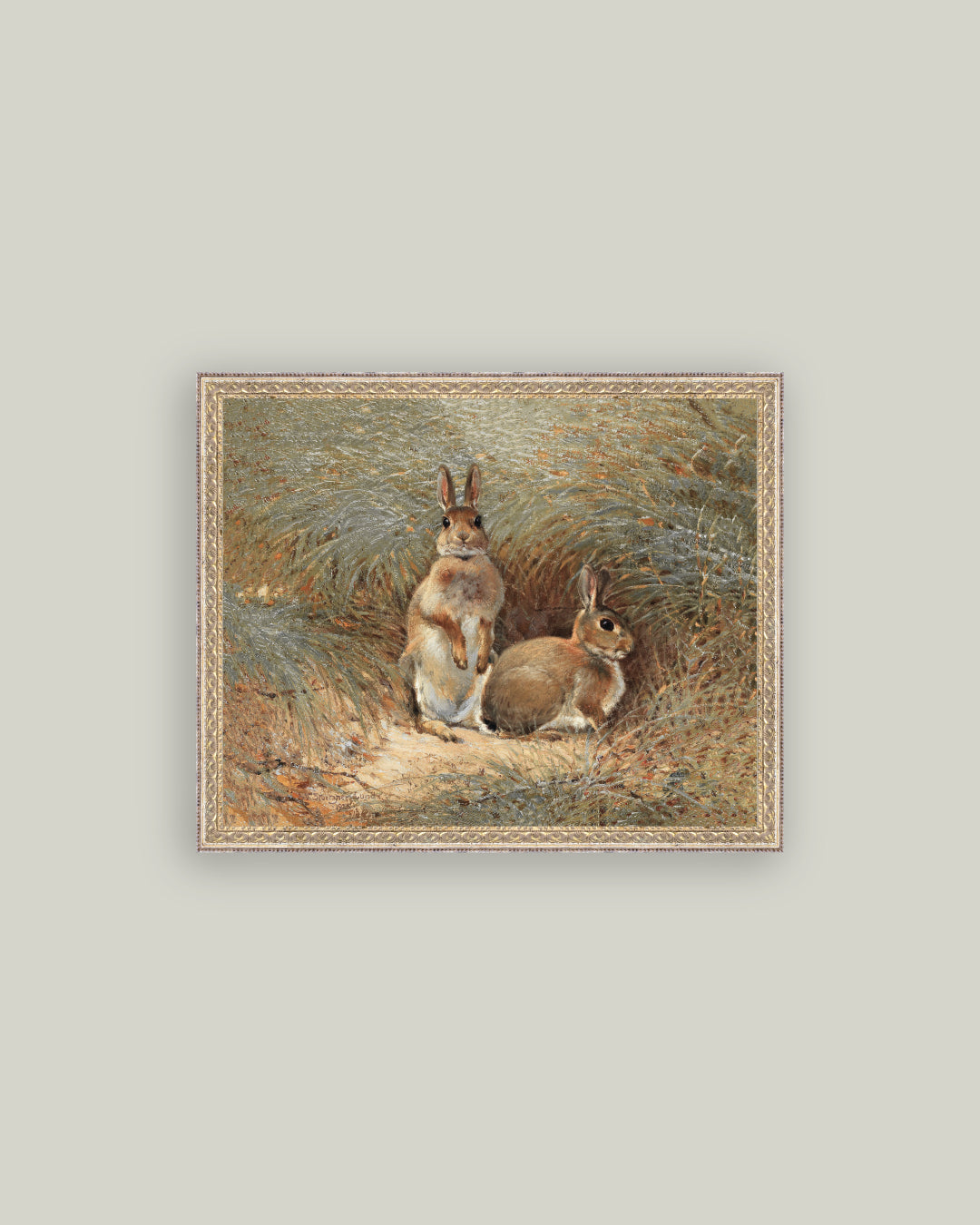 Bunnies