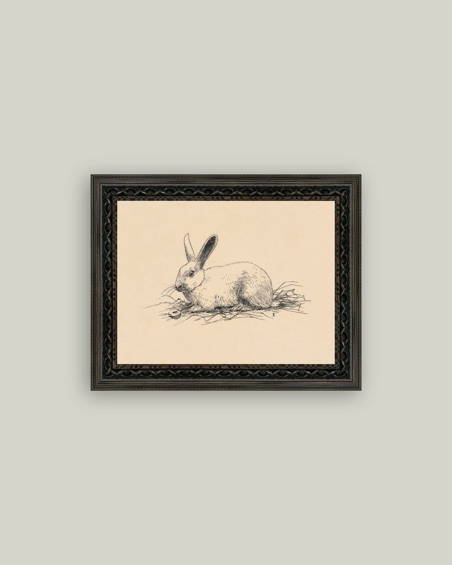 Bunny Sketch