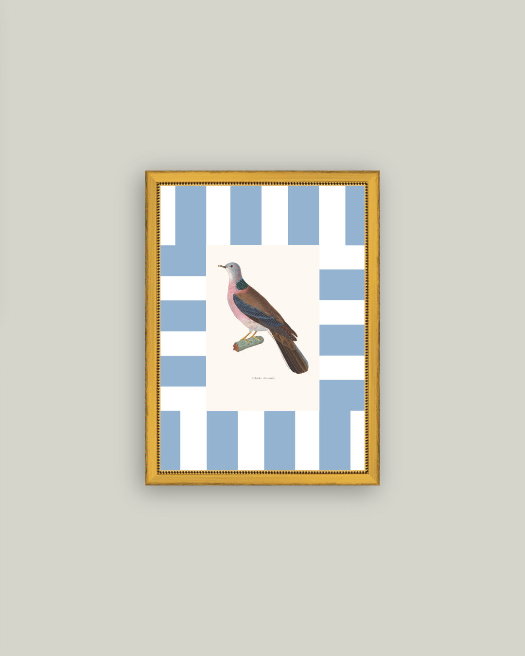 Colored Dove