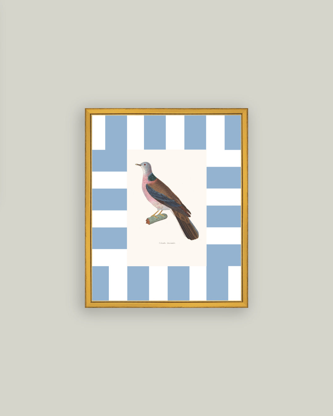 Colored Dove