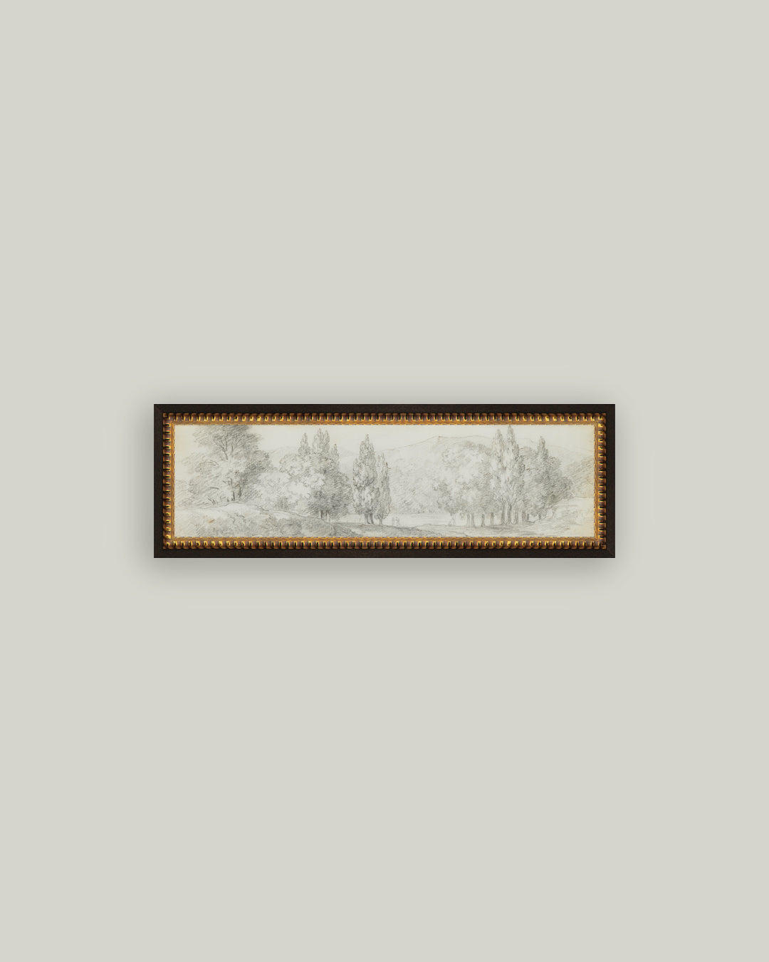 Country Meadow Sketch