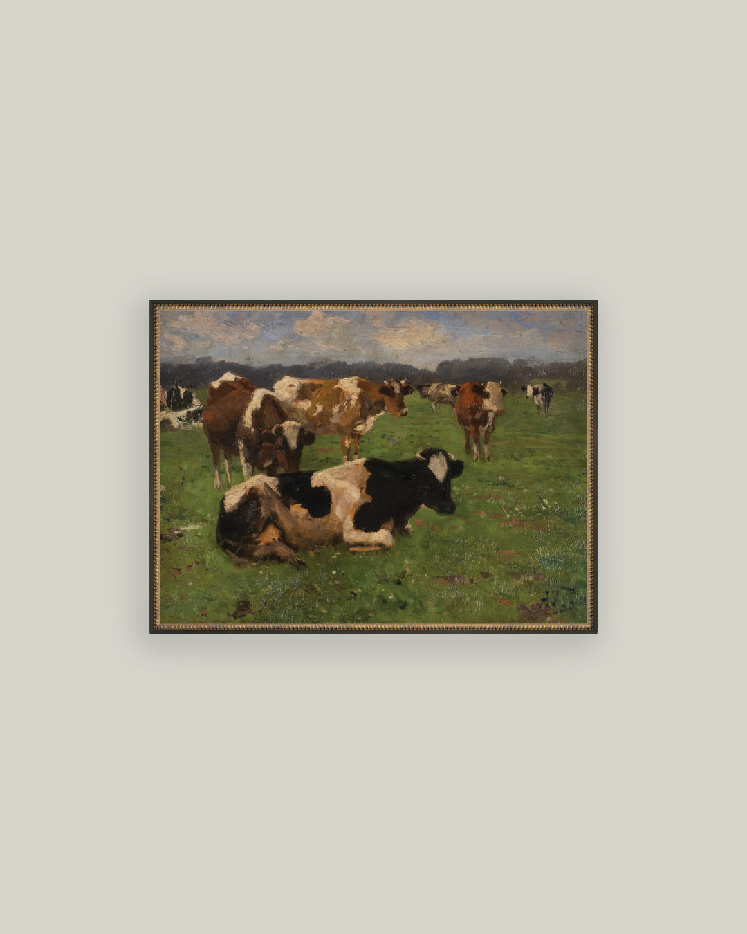 Cows On A Meadow