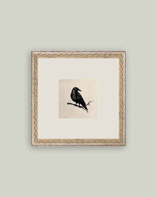 Crow