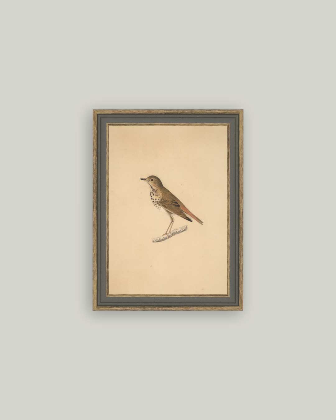 Everyday Art Set of 6