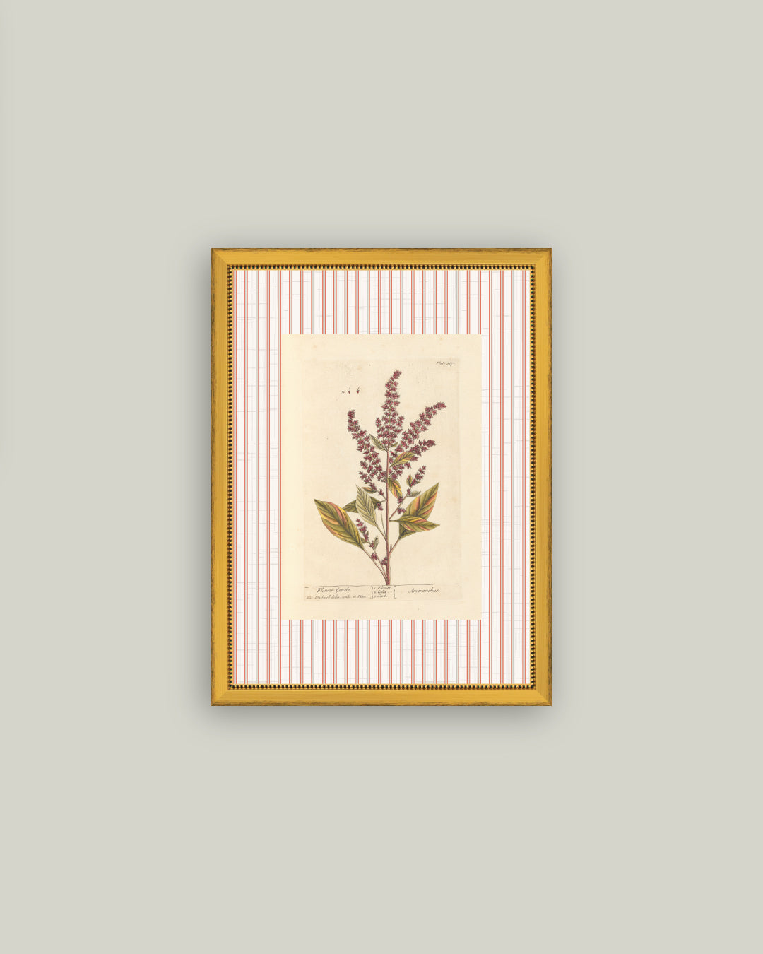Flower Gentle