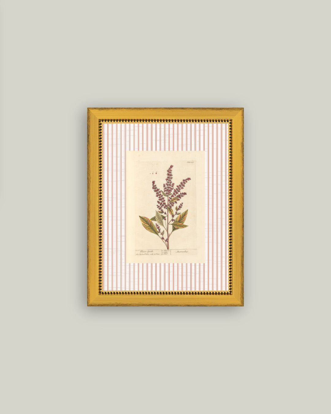 Flower Gentle