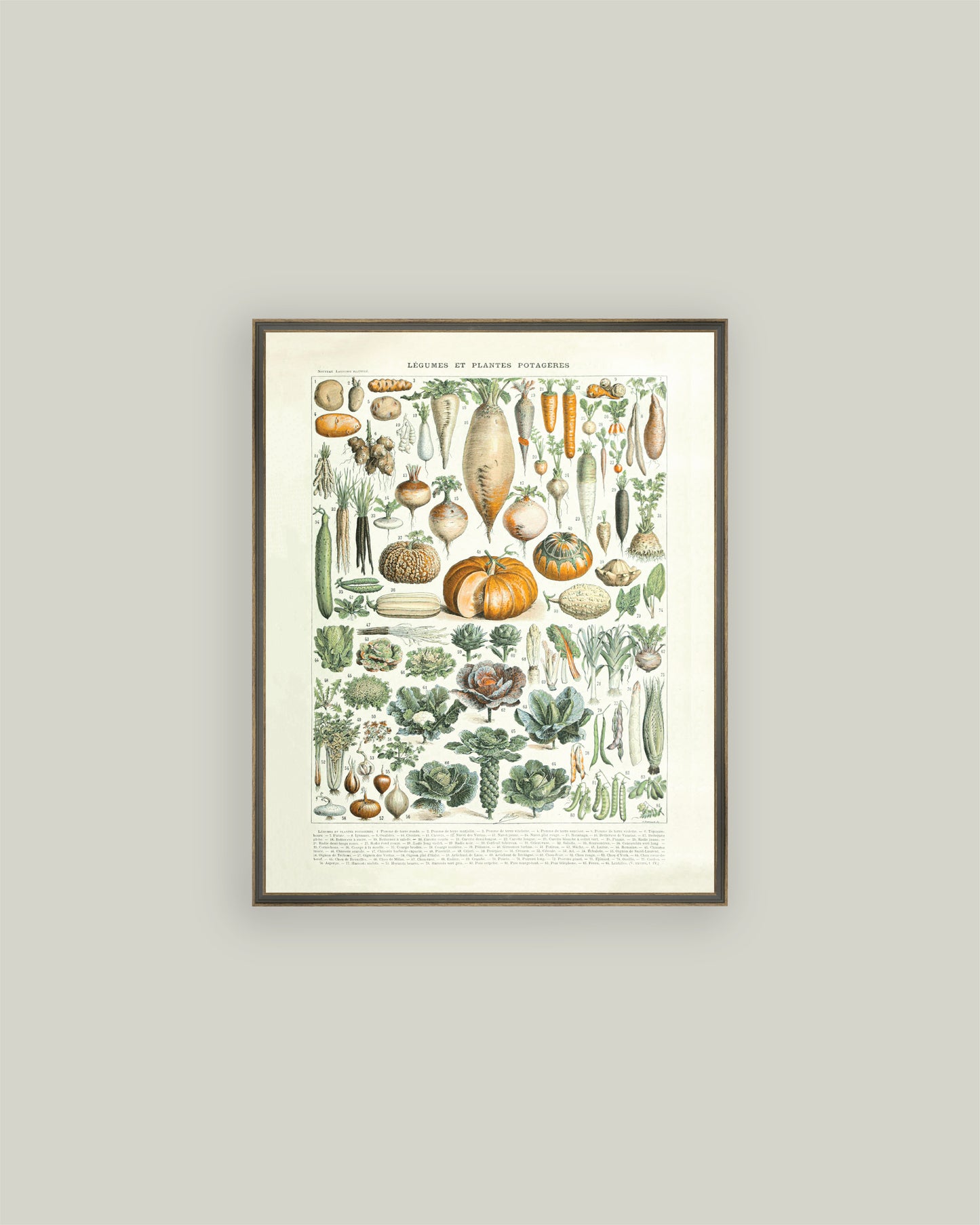 Legumes ET Plantes