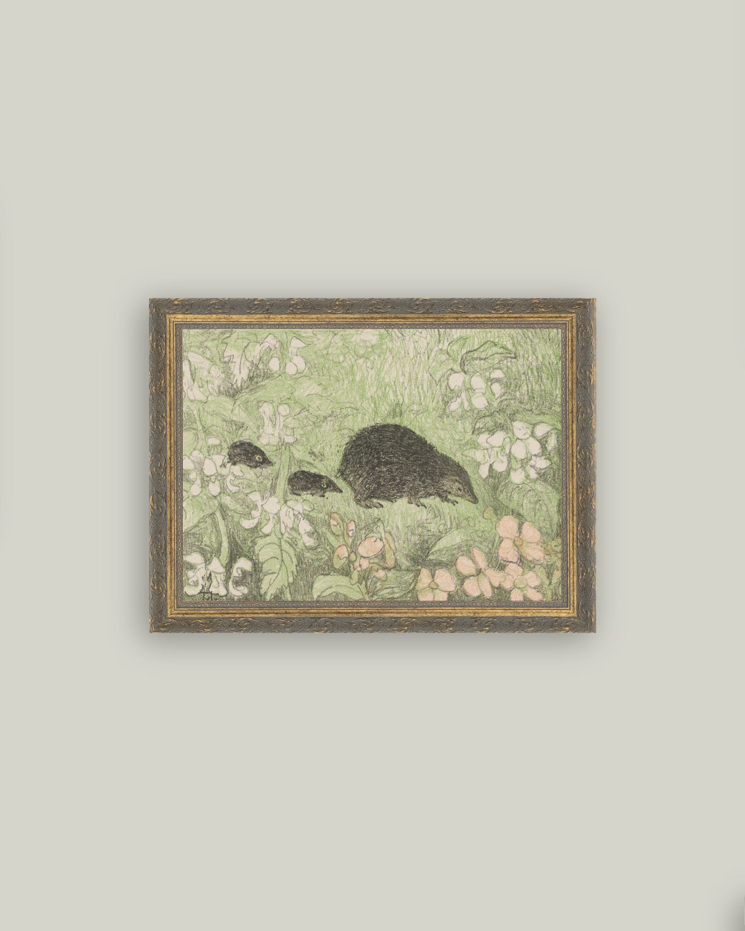 Hedgehog Family