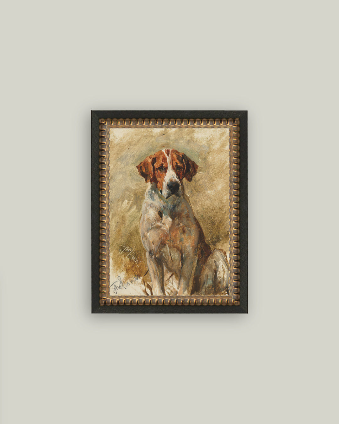 Study of a Hound