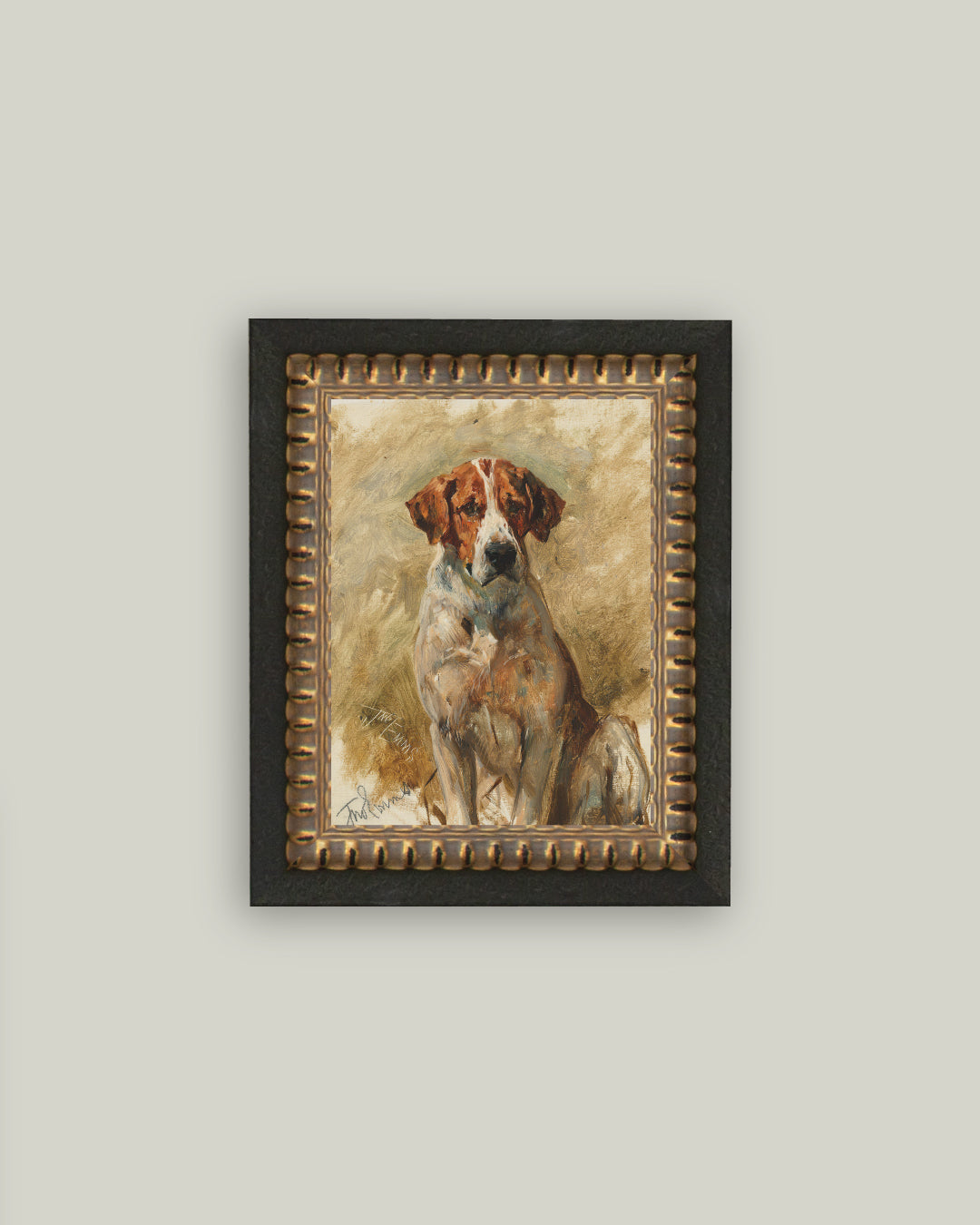 Study of a Hound