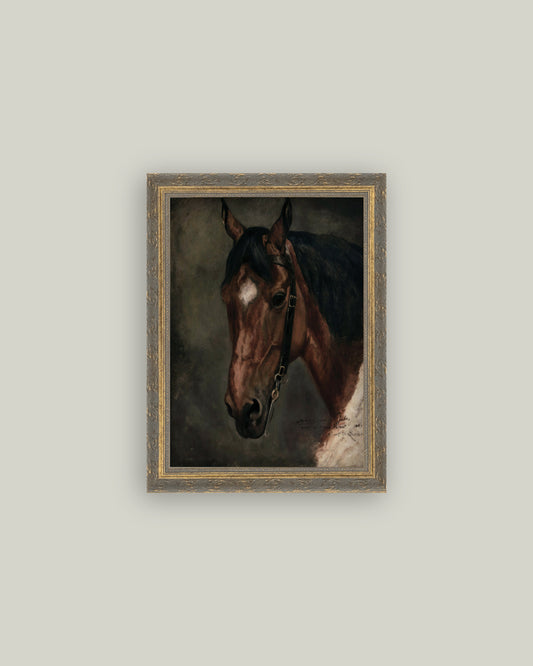 Horse Portrait