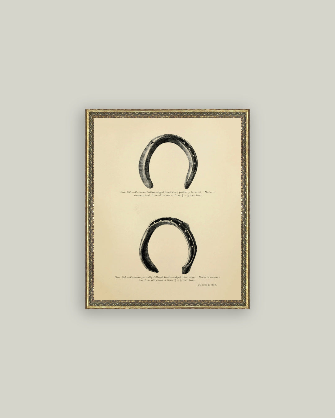Horse Shoe Study