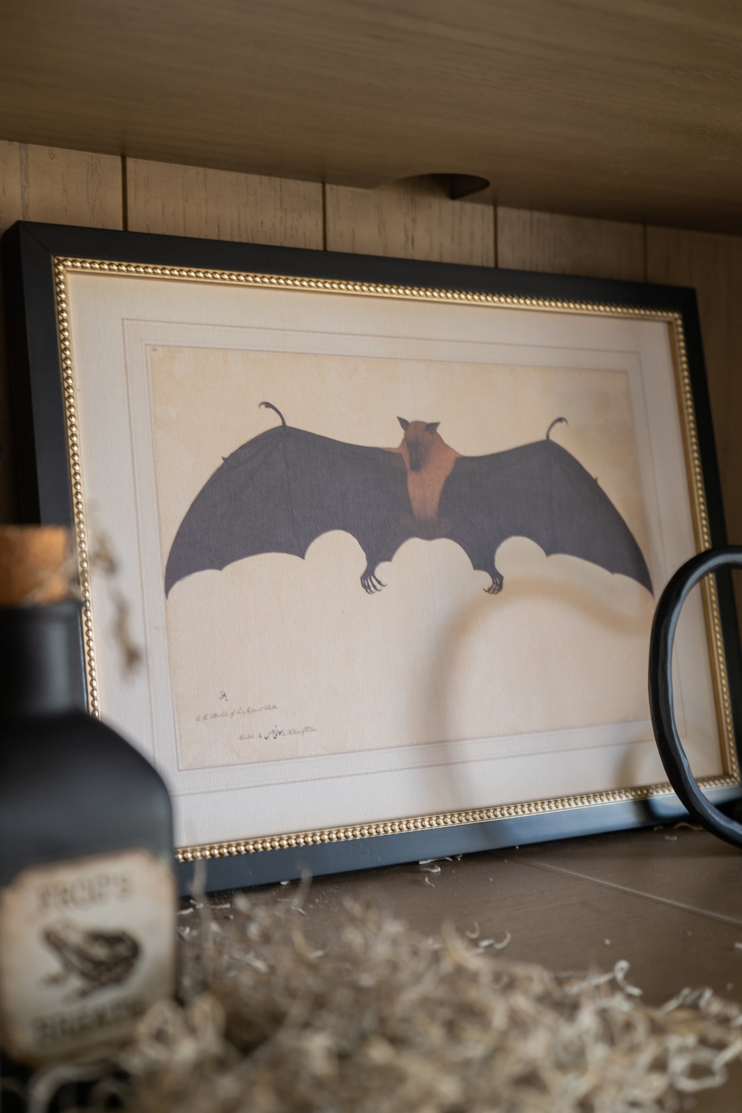 Spooky Bat