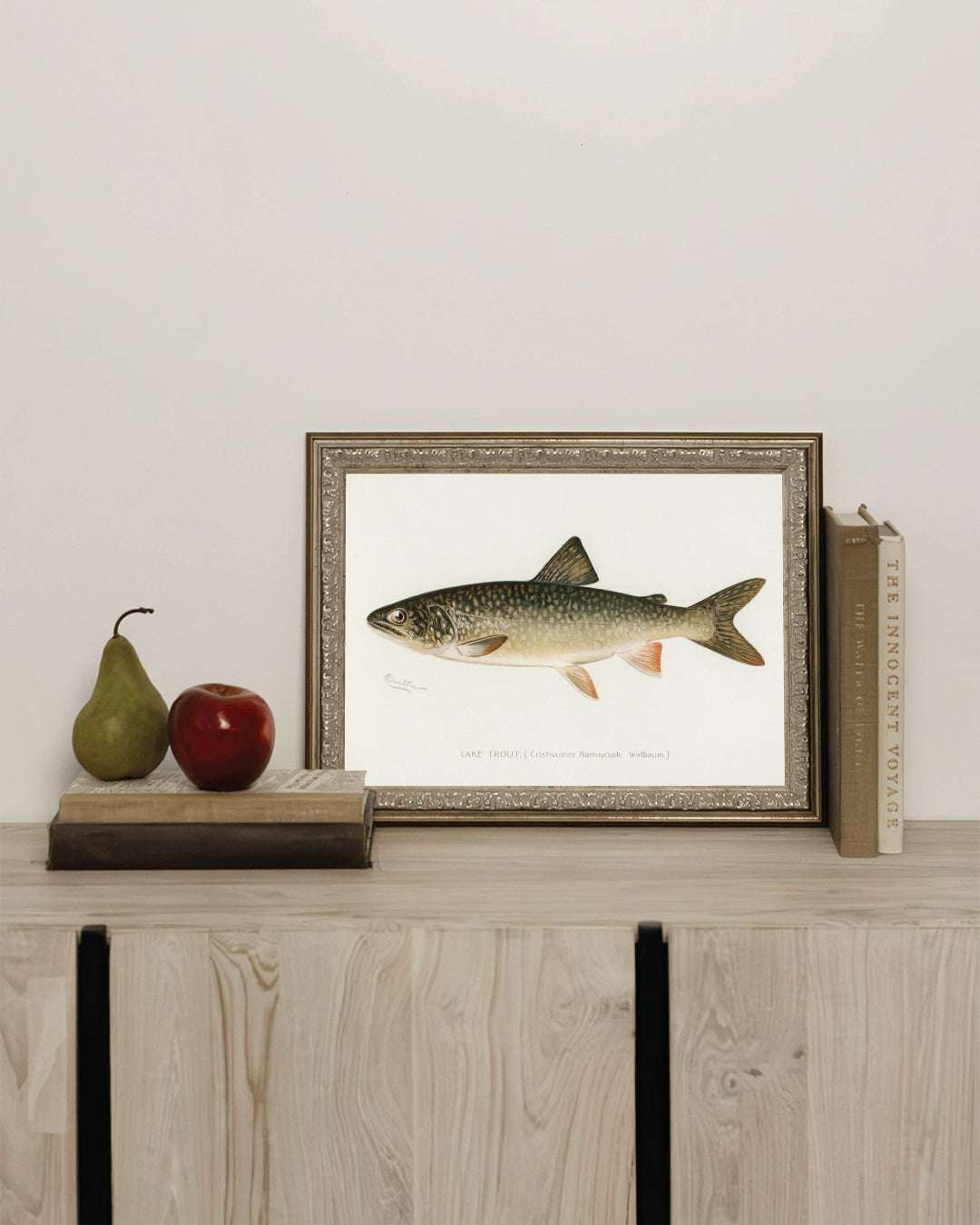 Lake Trout