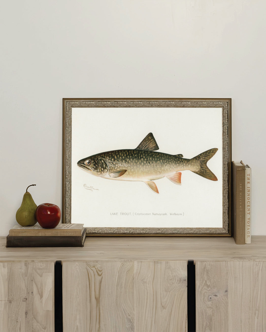 Lake Trout