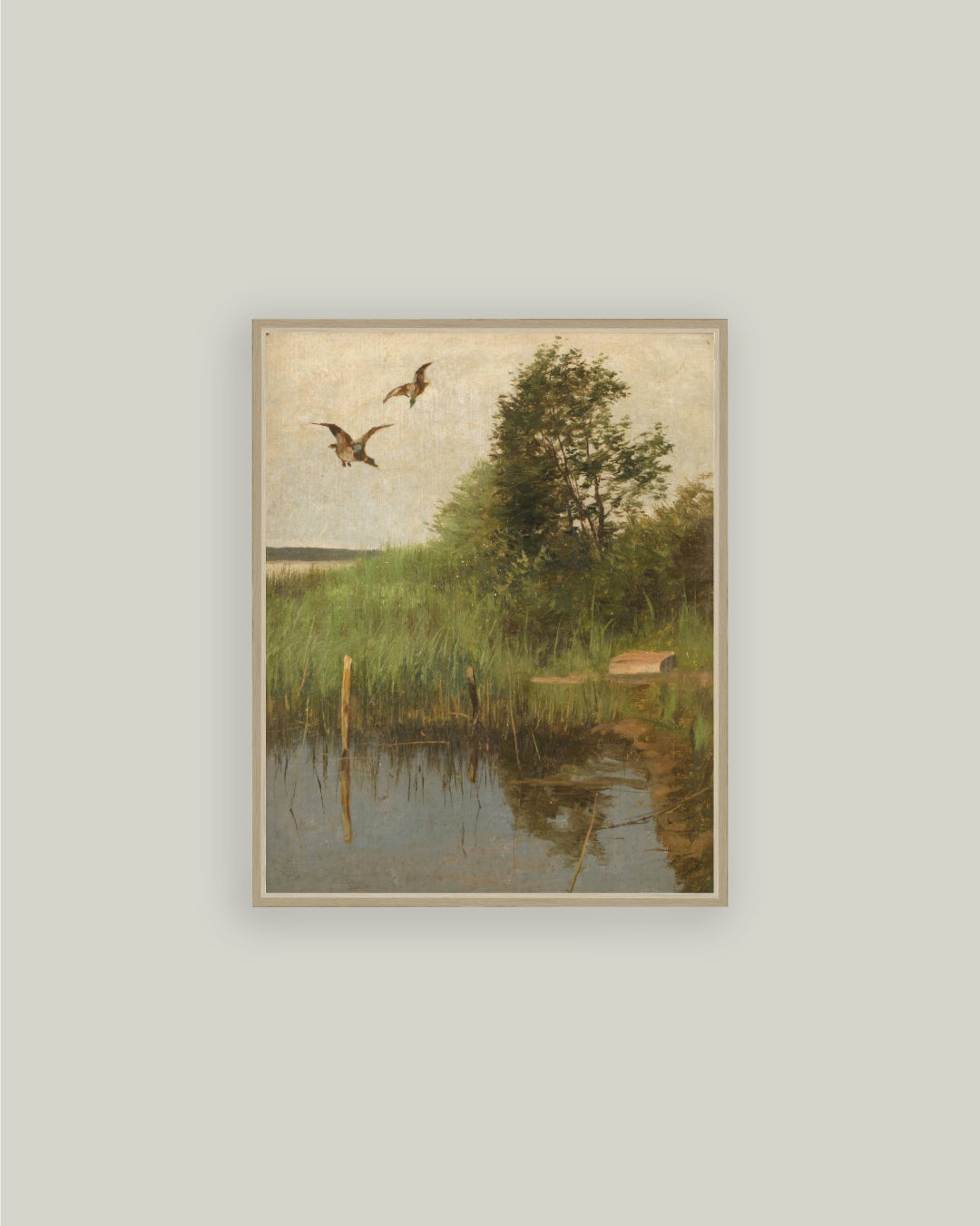 Mallards Taking Flight