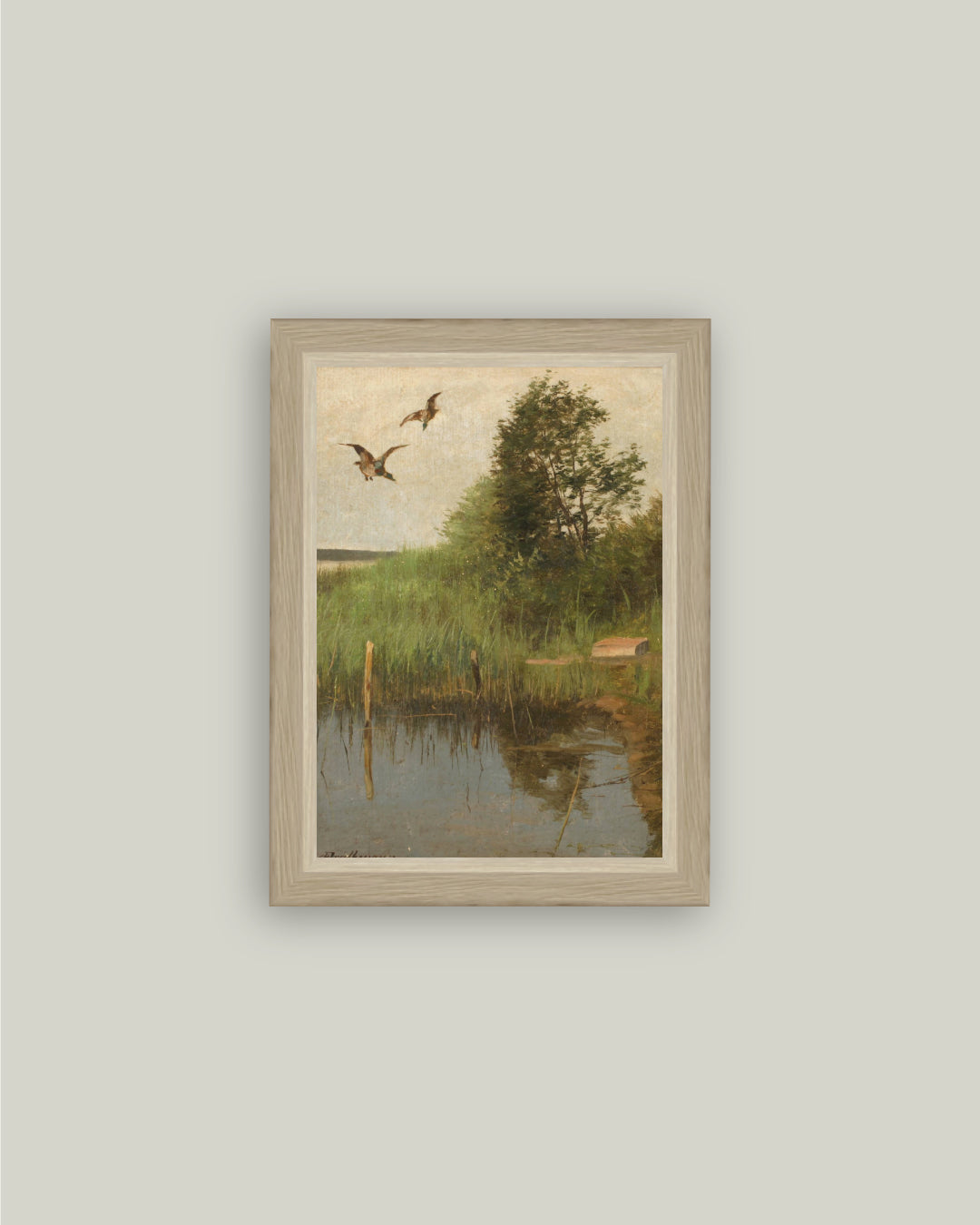 Mallards Taking Flight