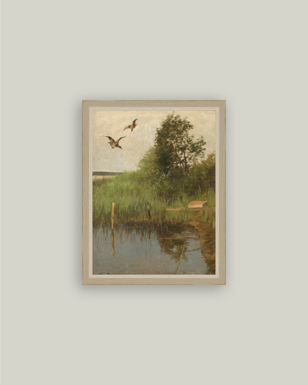 Mallards Taking Flight