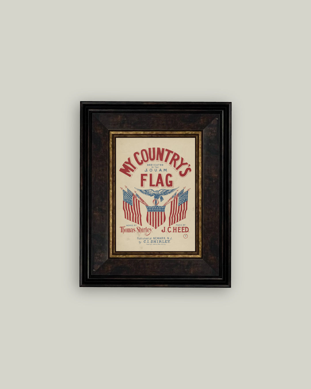 My Country's Flag