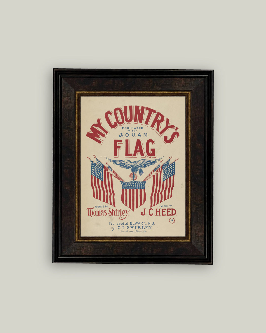 My Country's Flag