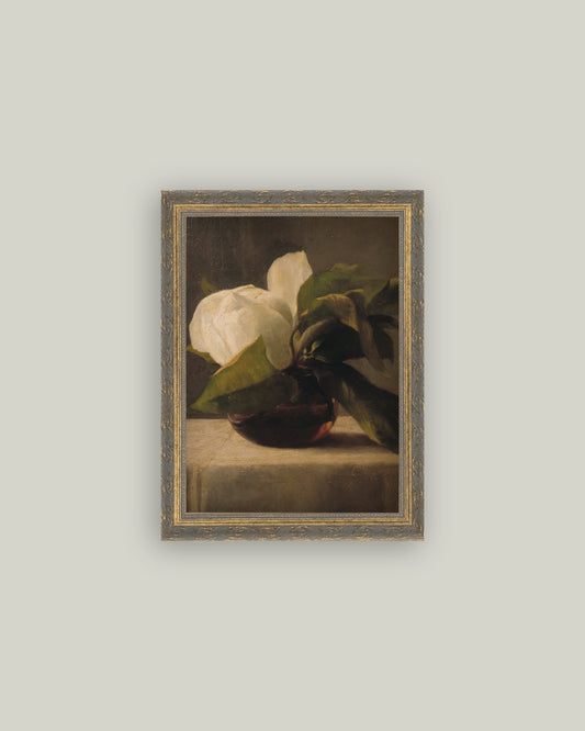 Magnolia