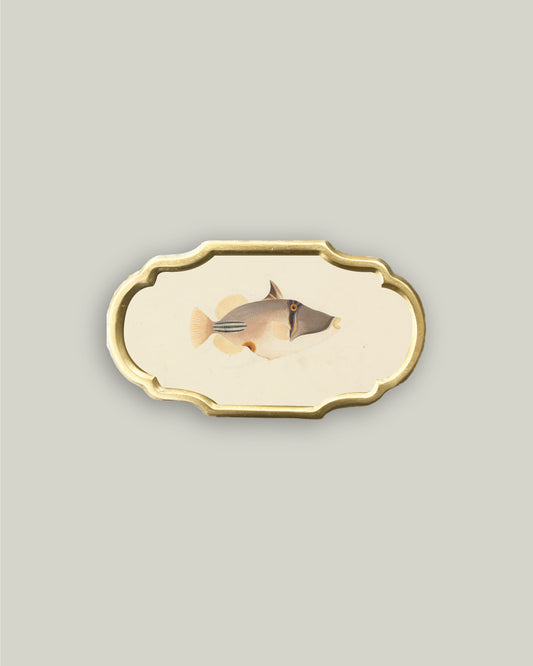 Priacanthus in Ornate Frame