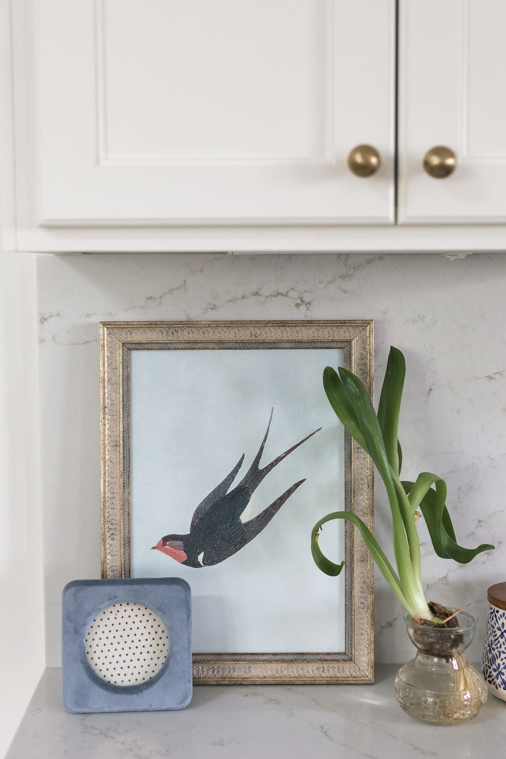 Swallow Boraston