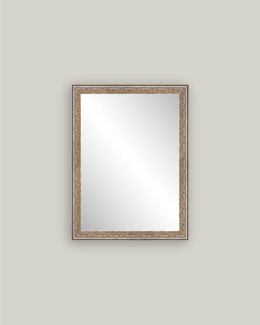 Silver Gold Framed Mirror