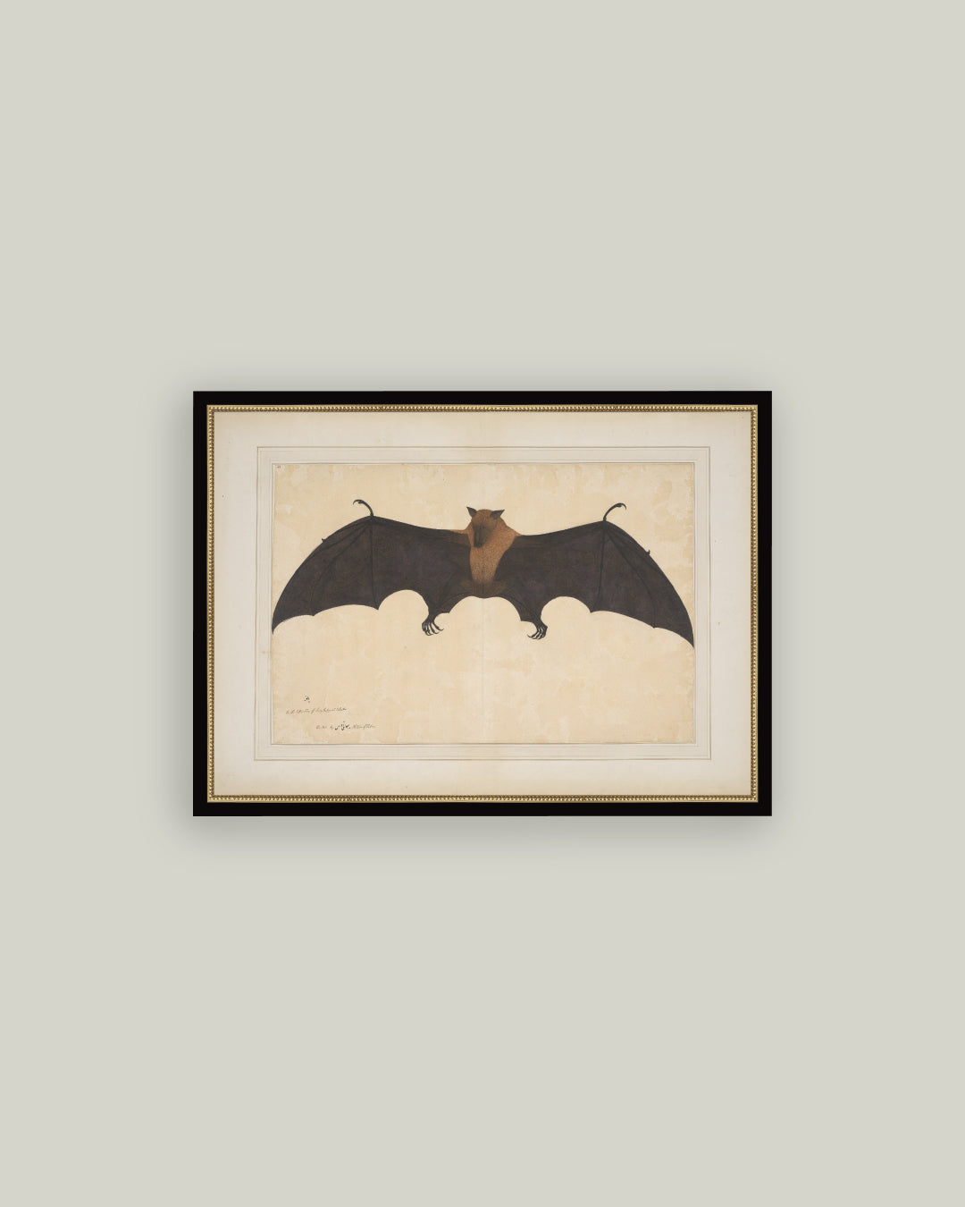Spooky Bat