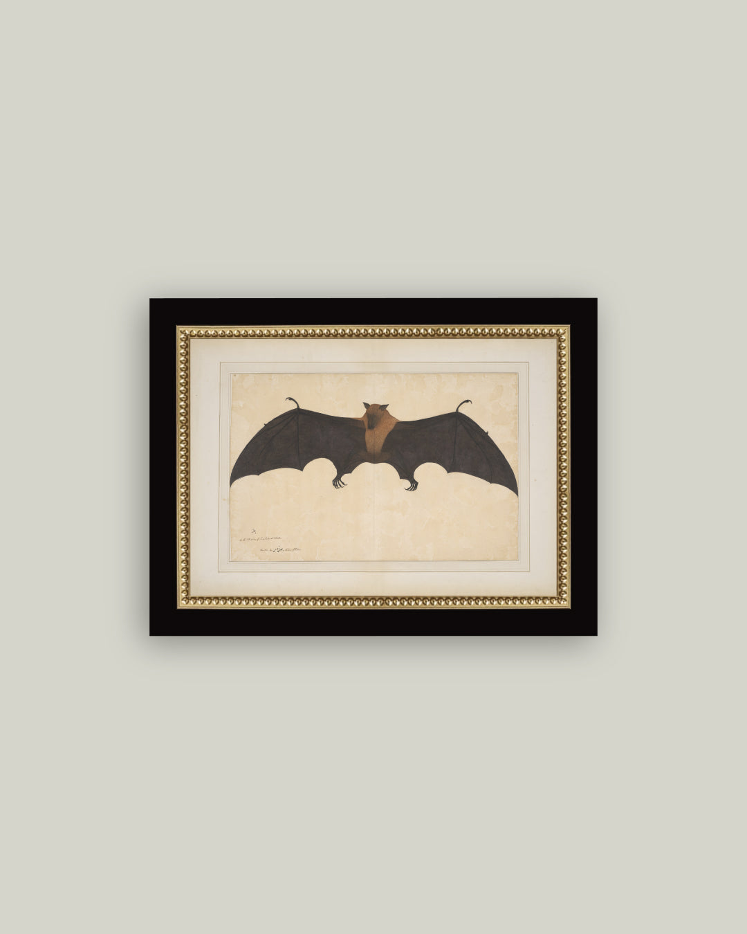 Spooky Bat