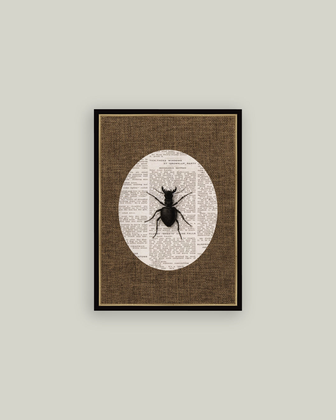 Stag Beetle