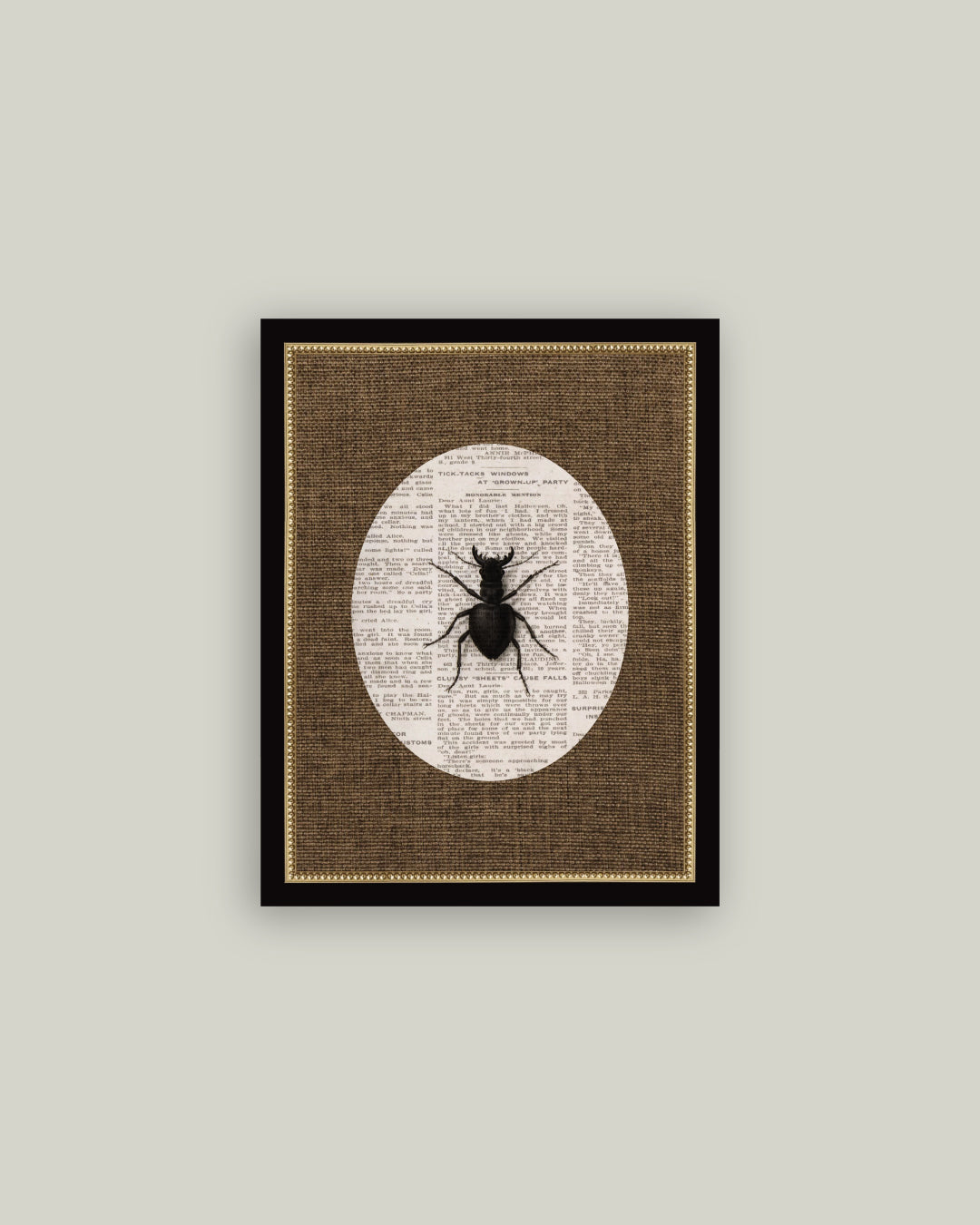 Stag Beetle – Petal Lane Home
