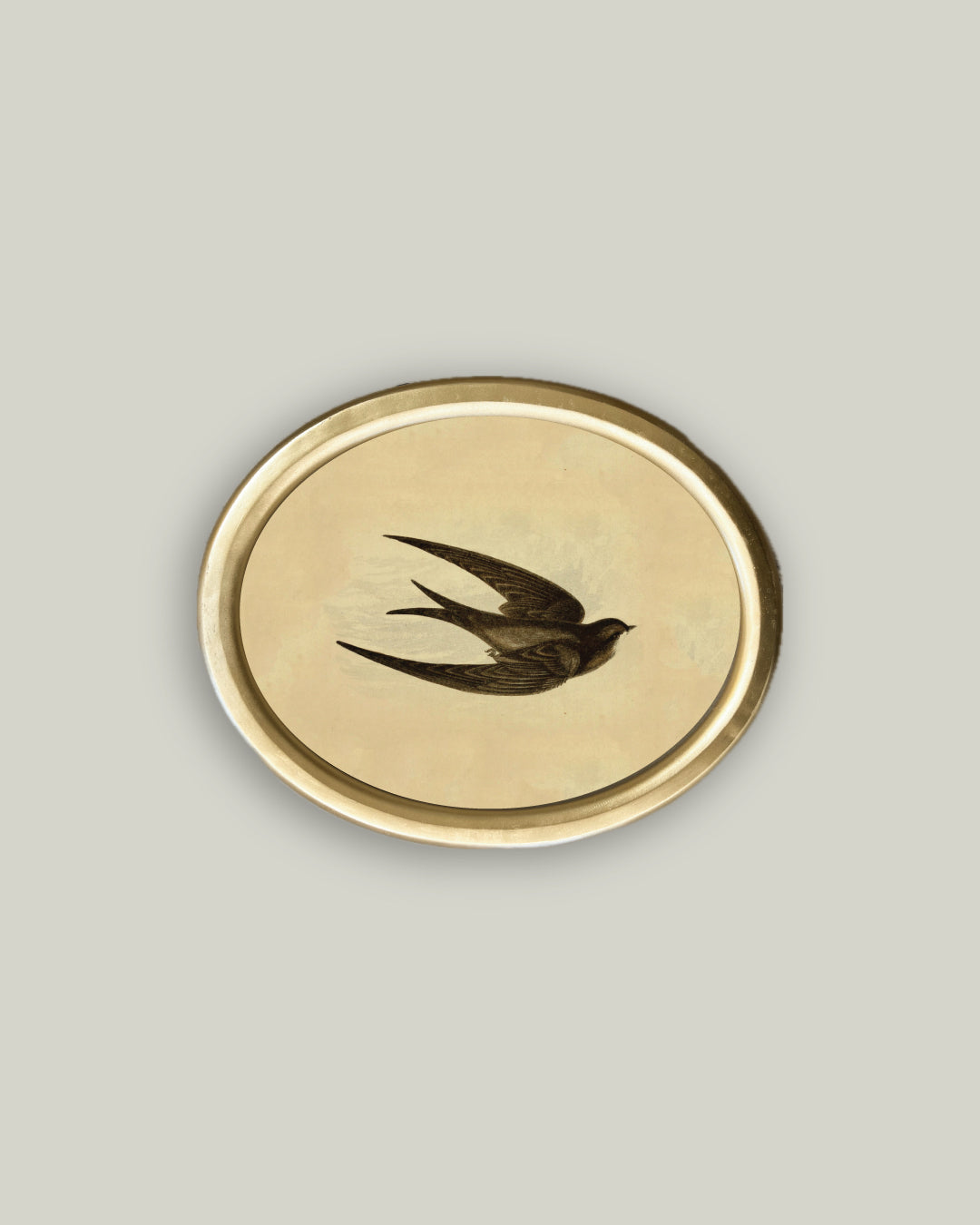 Swallow in Oval Frame